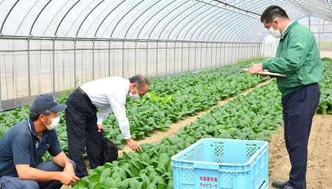 産直産地の点検