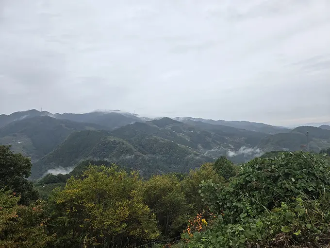 柿の圃場から見た景色の画像