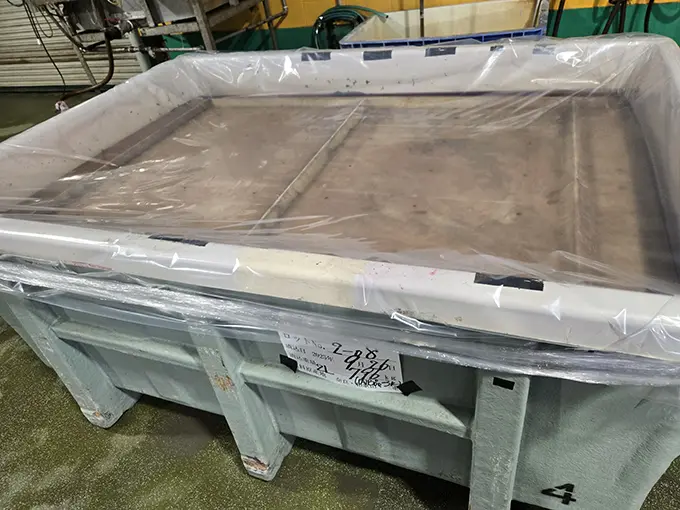 梅を塩漬けする作業の画像