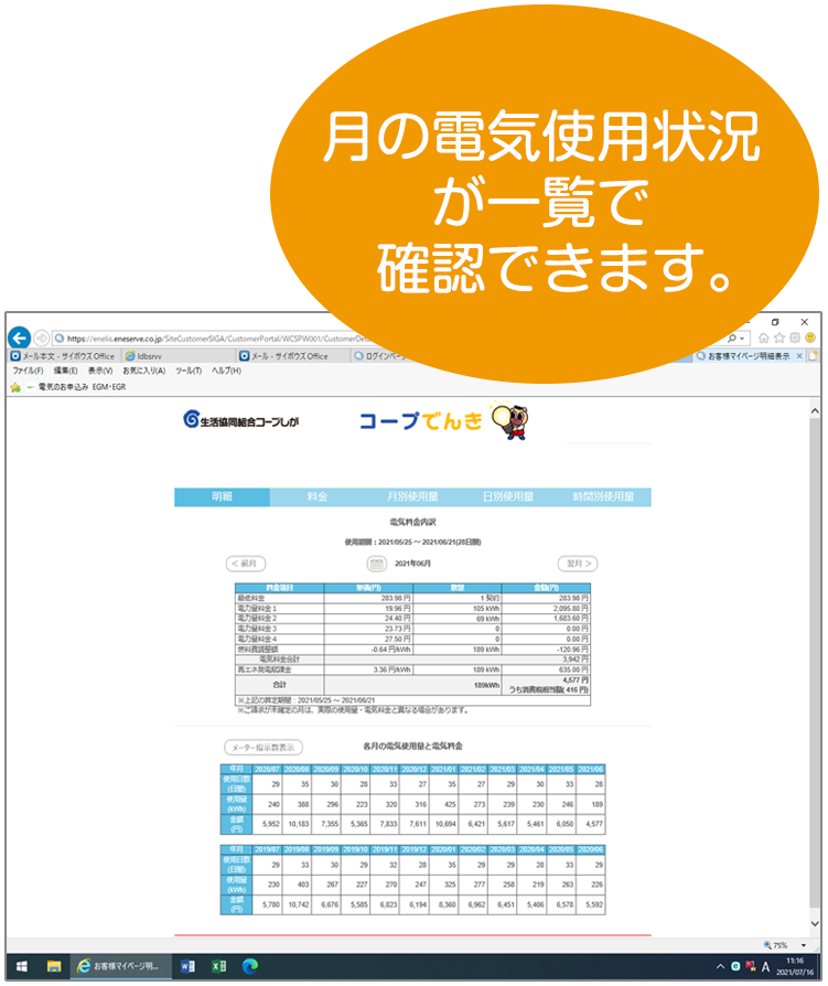 月の電気使用状況が一覧で確認できます。