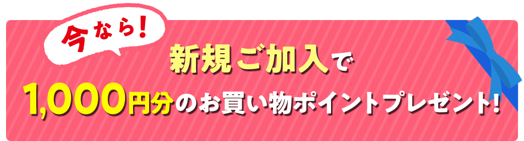 今なら新規ご加入で1000円分のお買い物ポイントプレゼント！