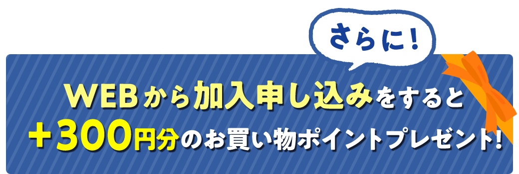 さらにWEBから加入申し込みすると300円分のお買い物ポイントプレゼント