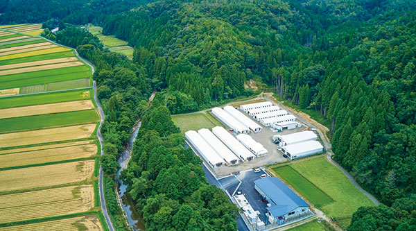 高島市武曽横山の農場