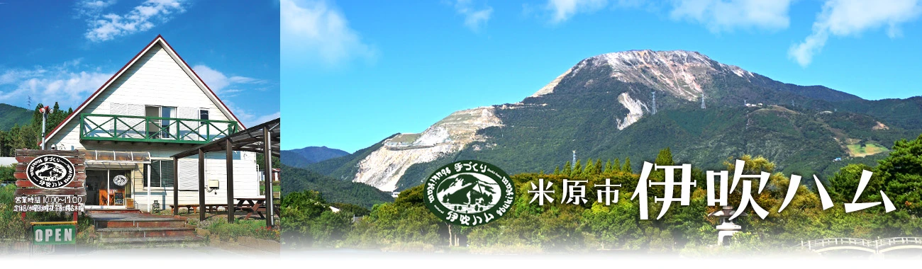 伊吹ハム