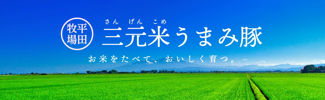 平田牧場三元米うまみ豚（シガフードプロダクツ）