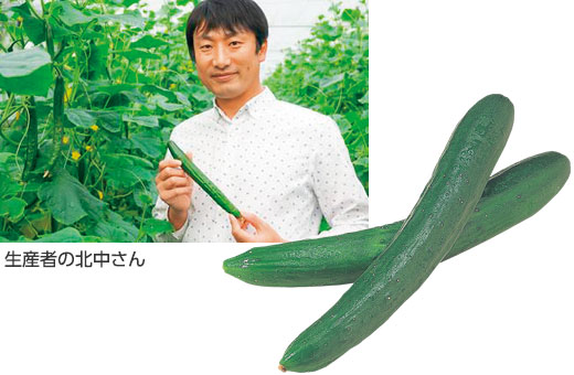 商品写真