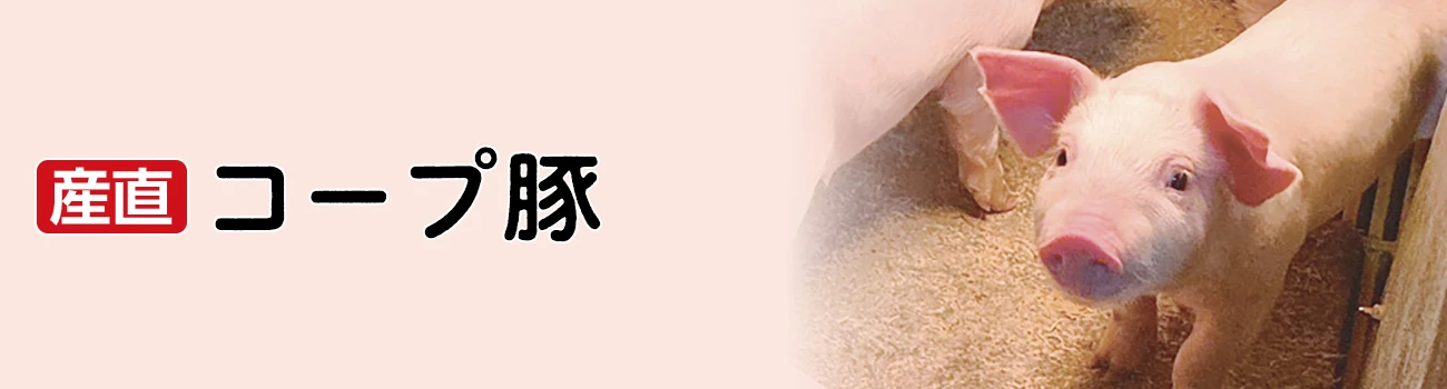 産直コープ豚