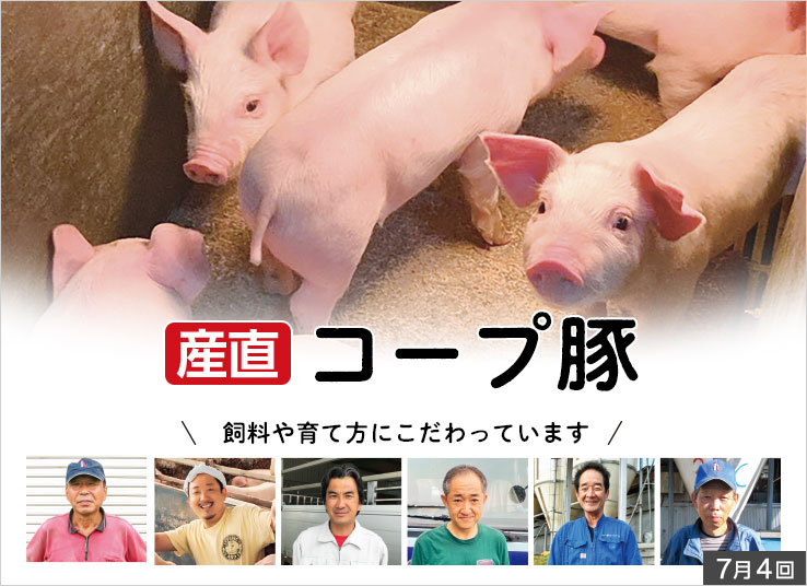 今週の特集