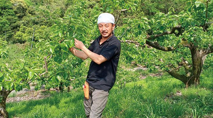 生産者の岡さん