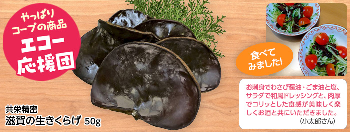 共栄精密「滋賀の生きくらげ」50g