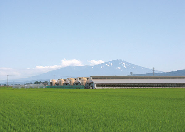 養豚場