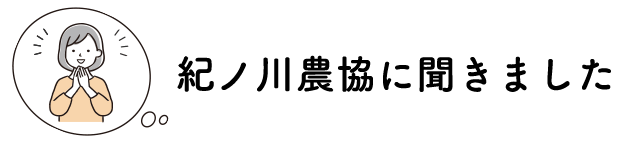 紀の川農協に聞きました