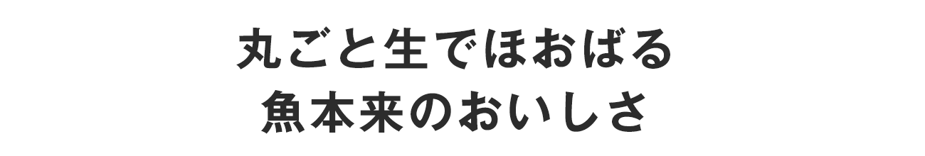 丸ごと生でほおばる　魚本来のおいしさ