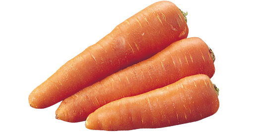 料理に使用した商品