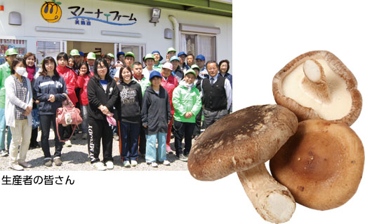 料理に使用した商品