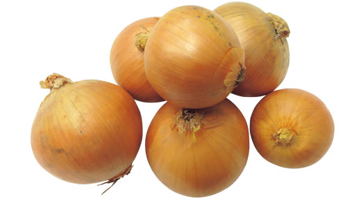 料理に使用した商品