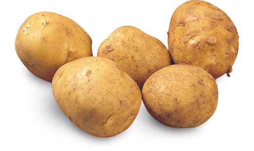 料理に使用した商品