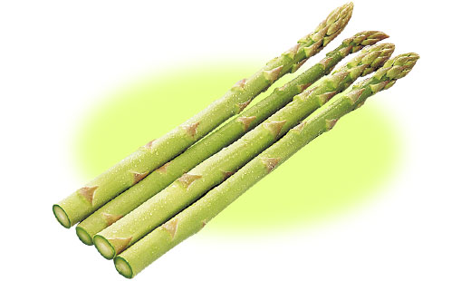 料理に使用した商品