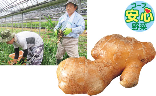 料理に使用した商品