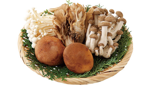 料理に使用した商品