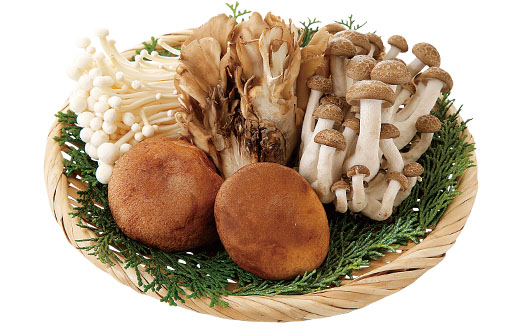 料理に使用した商品