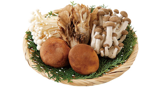 料理に使用した商品