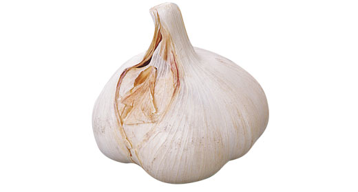 料理に使用した商品