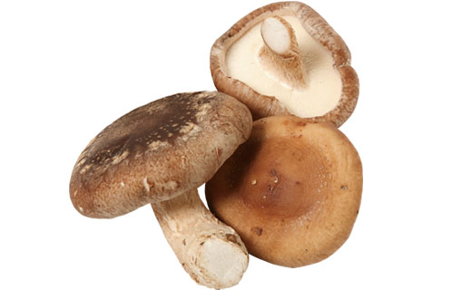 料理に使用した商品