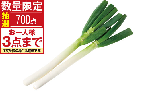 料理に使用した商品