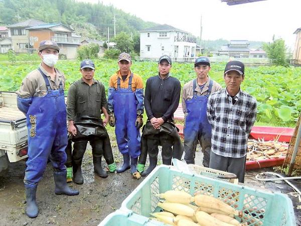 つくり手：農事組合法人　常陸野産直センターの写真