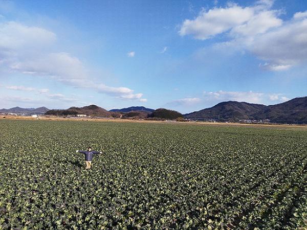 Ｉ　LOVEファーム：（北海道産直センター）の写真