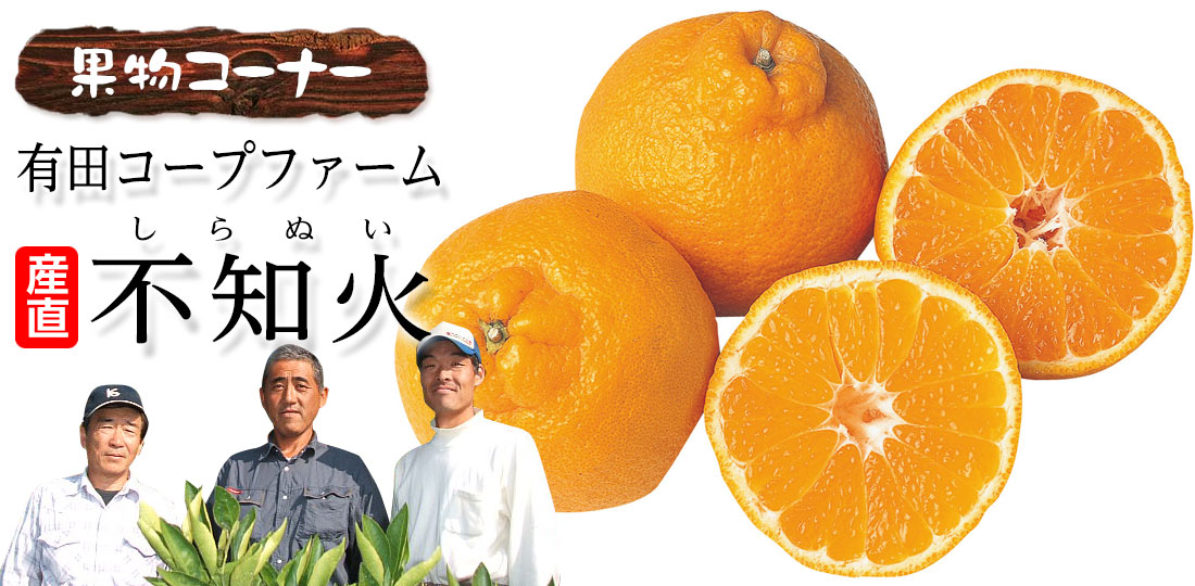 有田コープファーム　不知火 (しらぬい）