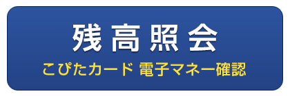 残高照会