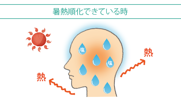 熱中症になりにくい状態