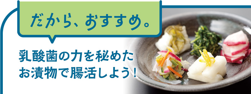 乳酸菌の恵みシリーズ