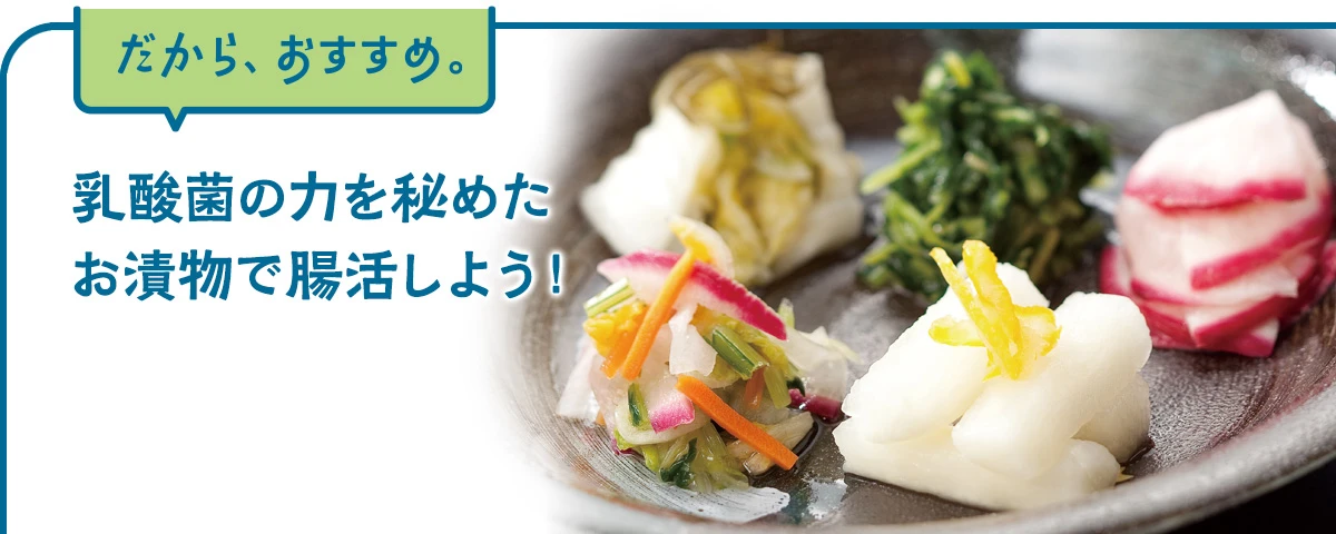 乳酸菌の恵みシリーズ