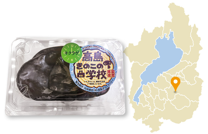 産直 滋賀の生きくらげ