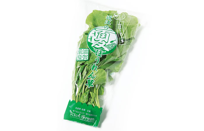 近江の夏ほうれん草の写真