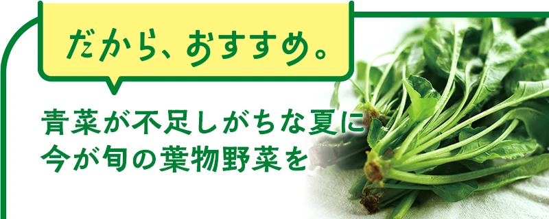 近江の夏ほうれん草