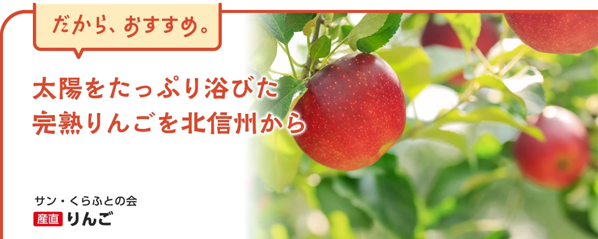 産直りんご 太陽をたっぷり浴びた完熟りんごを北信州から