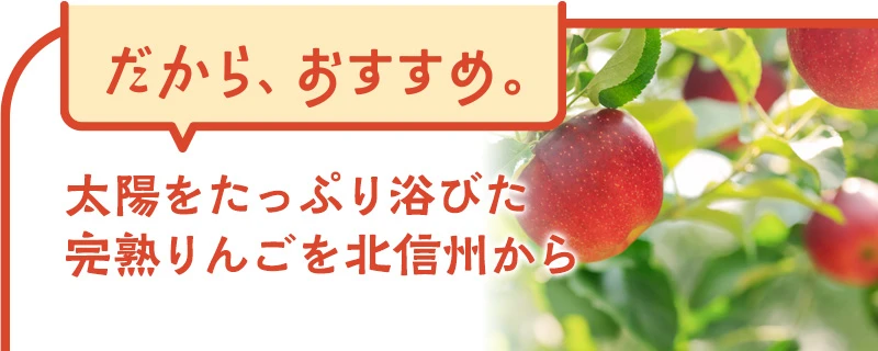産直りんご 太陽をたっぷり浴びた完熟りんごを北信州から