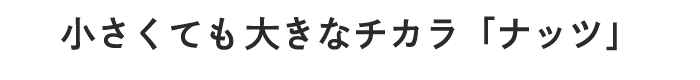 小さくても大きなチカラ「ナッツ」