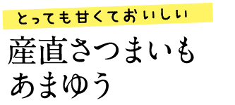 とっても甘くておいしい　産直さつまいも あまゆう