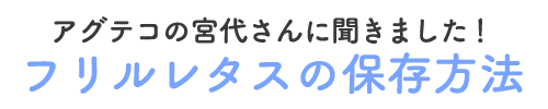 アグテコの宮代さんに聞きました！ フリルレタスの保存方法